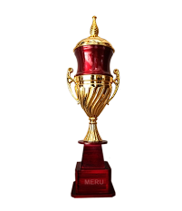 Elegant urn shaped award trophy