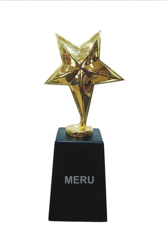Gold star trophy; perfect for corporate recognition awards and employee recognition.