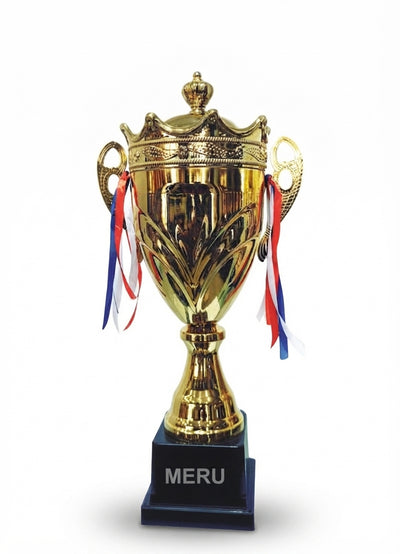 Gold Metal Trophy Cup Sports Award Corporate Award 1809 - Meru Trophy