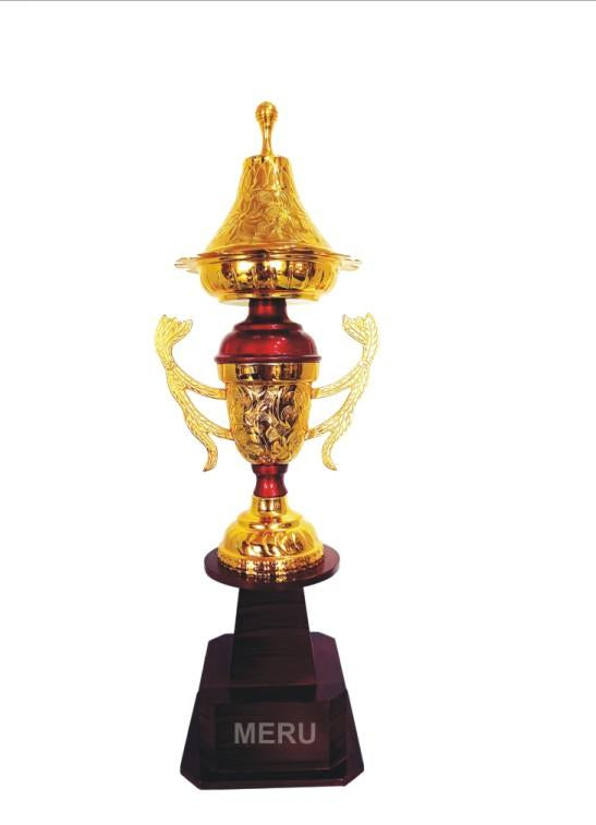Red and Gold Metal Custom Trophy