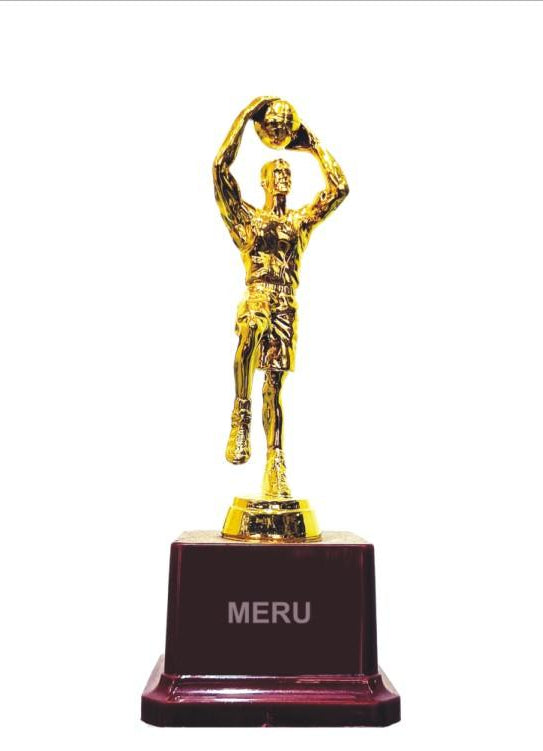 Gold Basketball Trophy 115 - Custom Award