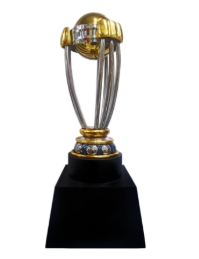 Golden Cricket Cup Trophy - Cricket World Cup Replica
