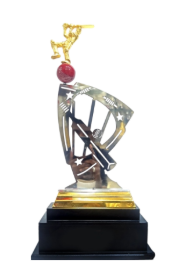 Dynamic metal cricket trophy showcasing a cricketer in action - perfect for sports awards.