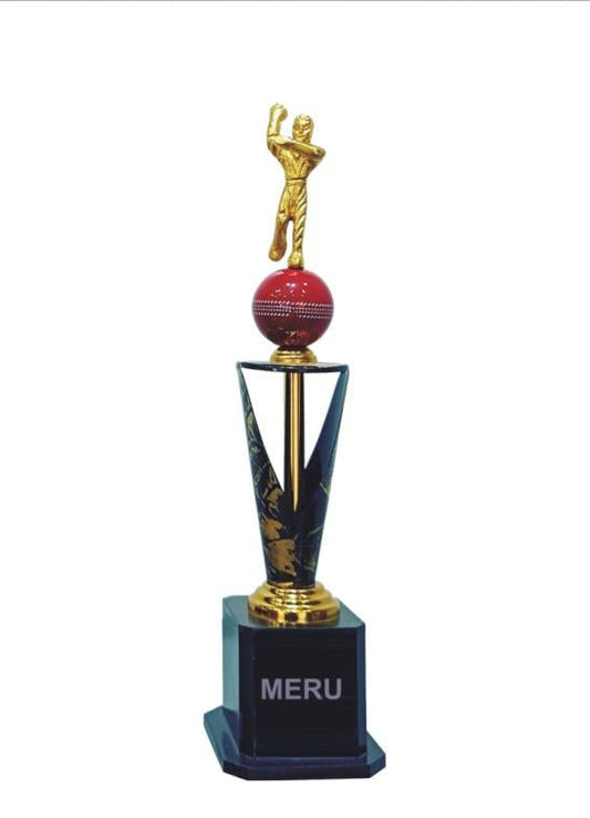 Dynamic cricket trophy featuring a batsman and ball; perfect for sports recognition.