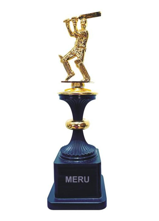 Metal cricket trophy design; ideal for sports awards and recognition.