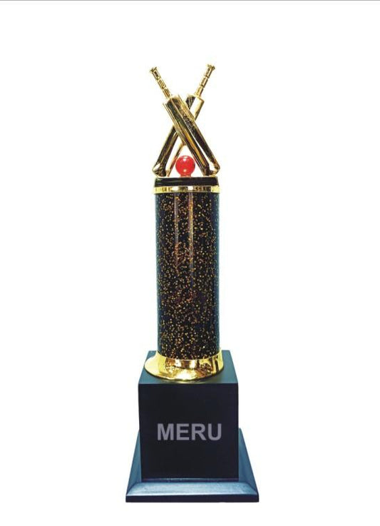Cricket trophy with crossed bats and ball; perfect for sports awards.