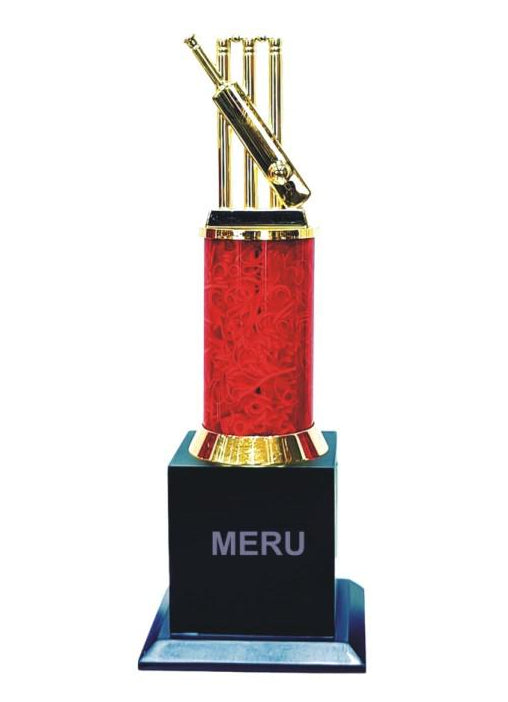 Metal Cricket Trophy Award