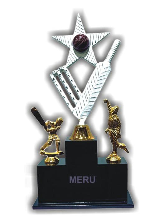 Detailed image of a metal cricket trophy with a star backdrop and miniature cricketers.