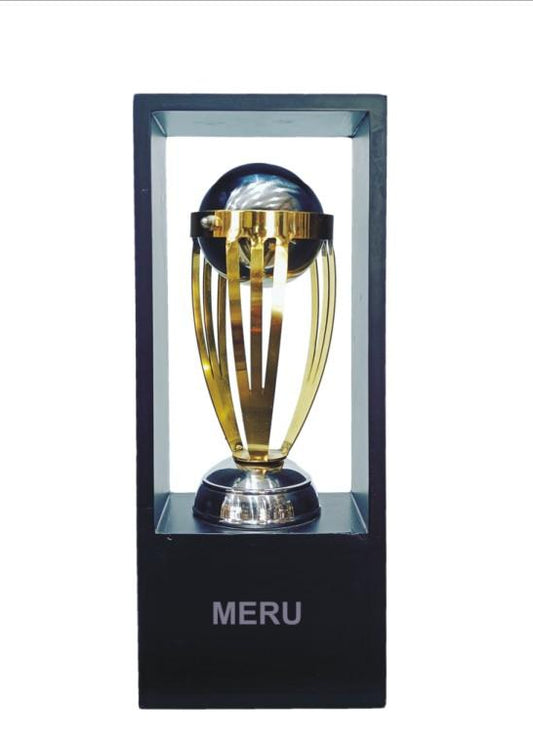 Elegant metal trophy design; ideal for cricket awards and sports achievements.