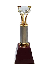 Elegant crystal trophy award; ideal for sports awards and cricket trophies.