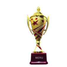 Elegant red and gold fiber trophy with star accents.