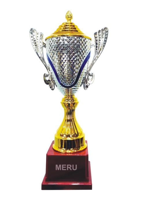Silver and Gold Achievement Cup Trophy