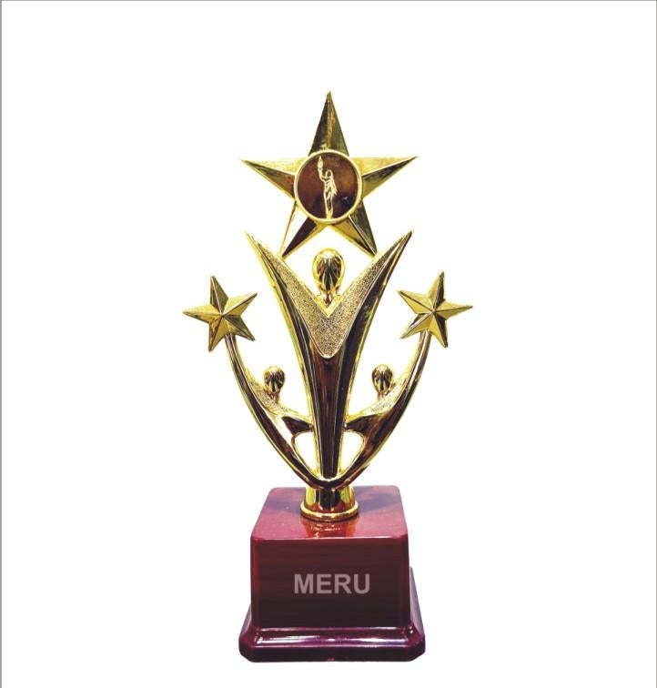 Gold Star Fibre Trophy 758 - Unique Award Design