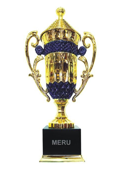 Gold and blue fiber trophy award; perfect for corporate recognition.