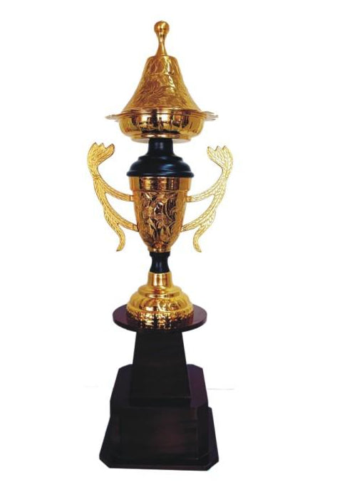 Elegant Metal Trophy