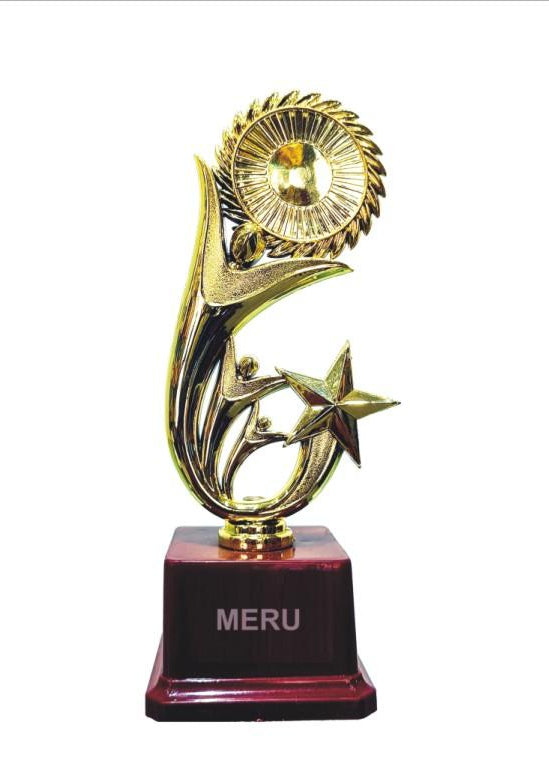 Gold fibre trophy with sunburst design; perfect for awards and recognition.