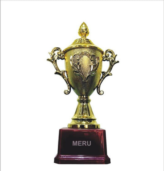 Gold fibre trophy cup; perfect for awards and recognition.