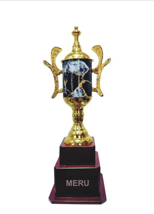 Gold and black marble trophy; perfect for sports awards and corporate recognition.