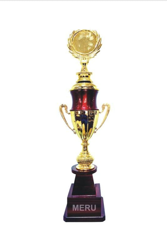 Image of a gold and maroon cup trophy; showcasing a classic design.