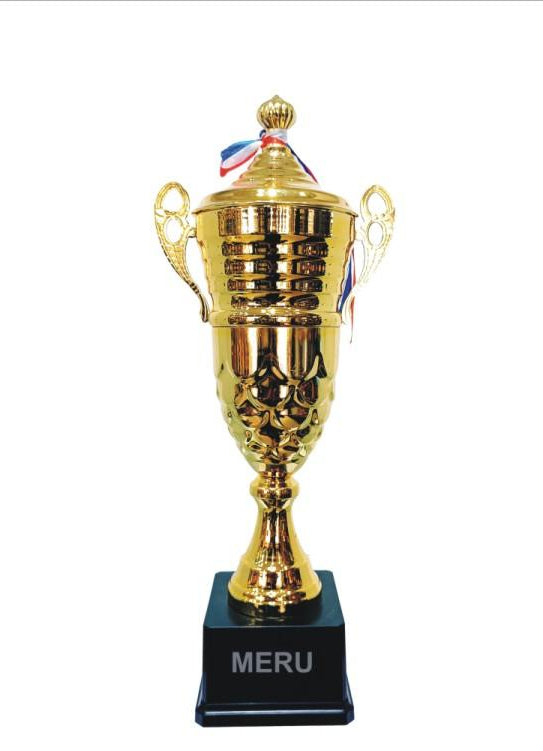 Gold metal cup trophy; ideal for sports awards and recognition.