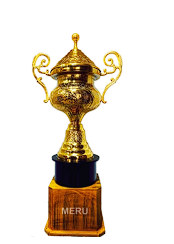 Gold Metal Cup Sports Awards Trophy