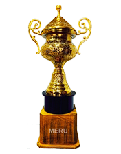 Gold metal cup trophy; ideal for sports awards and recognition ceremonies.
