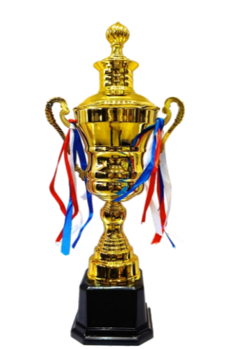 Golden trophy cup; ideal for sports awards and corporate recognition.