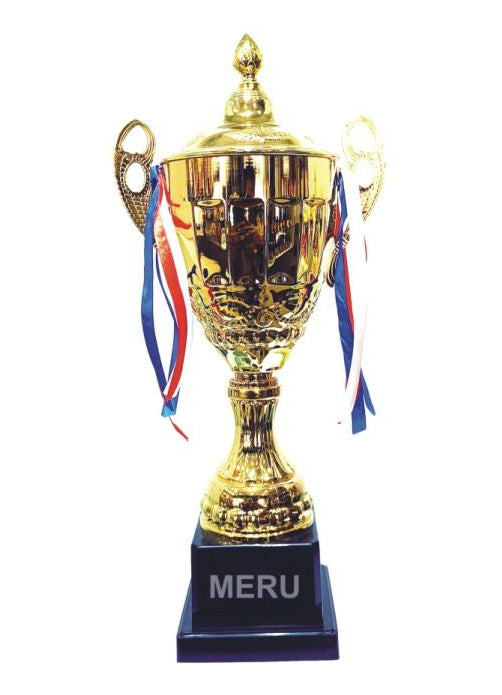 Gold metal cup trophy; ideal for sports awards and recognition.