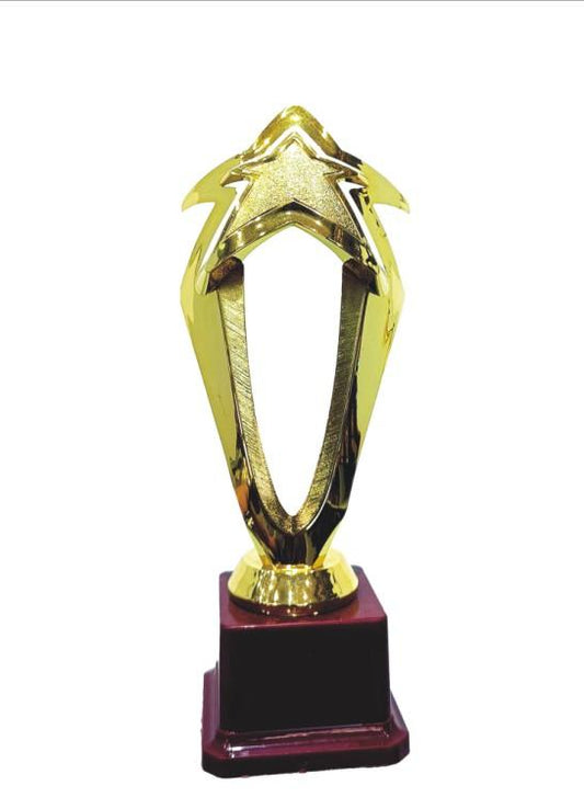 Gold Star Acrylic Trophy - Award Recognition