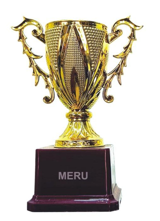 Elegant gold fiber trophy cup award; ideal for corporate recognition and sporting achievements.