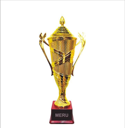 Gold Fibre Trophy Cup