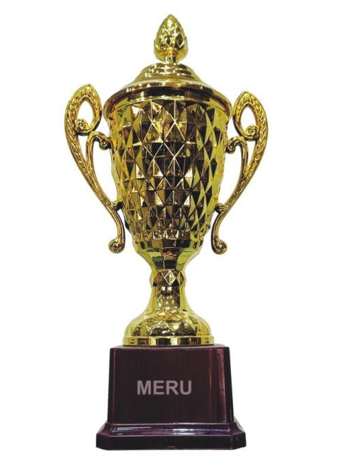 Gold Fibre Trophy cup; perfect for corporate awards and athletic recognition.