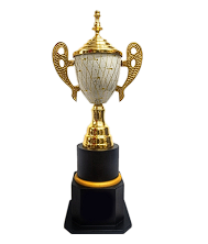 Elegant metal cup trophy; ideal for sports awards and corporate recognition.