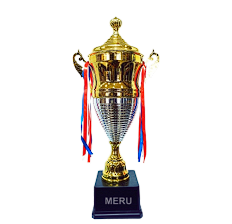Gold and silver Metal Sports Trophies