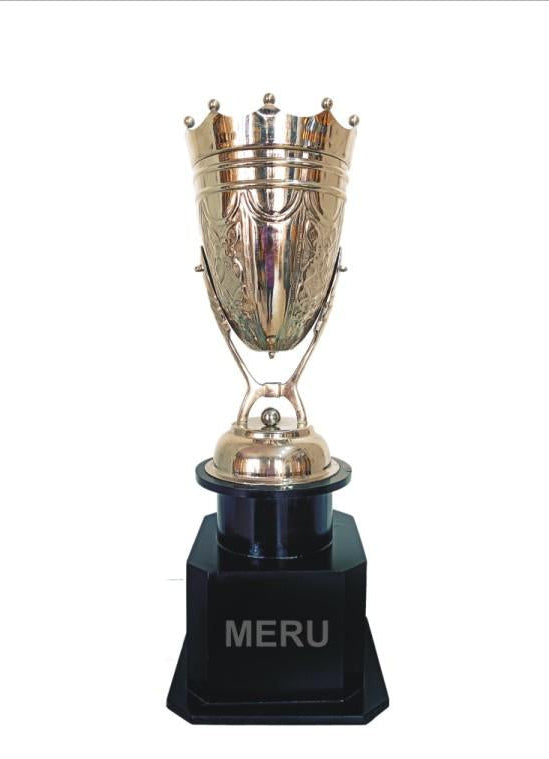 Silver metal trophy; perfect for sports awards and recognition.
