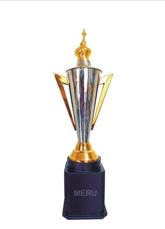 Elegant silver and gold metal trophy; ideal for sports awards and recognition.