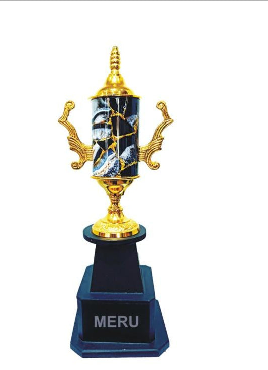 Metal Trophy - Black & Gold Achievement Award
