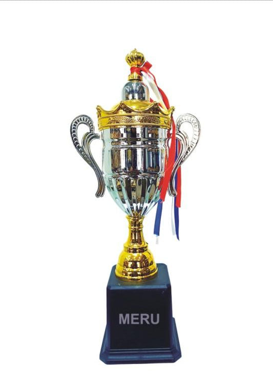 Elegant metal trophy with gold base and vibrant ribbons.