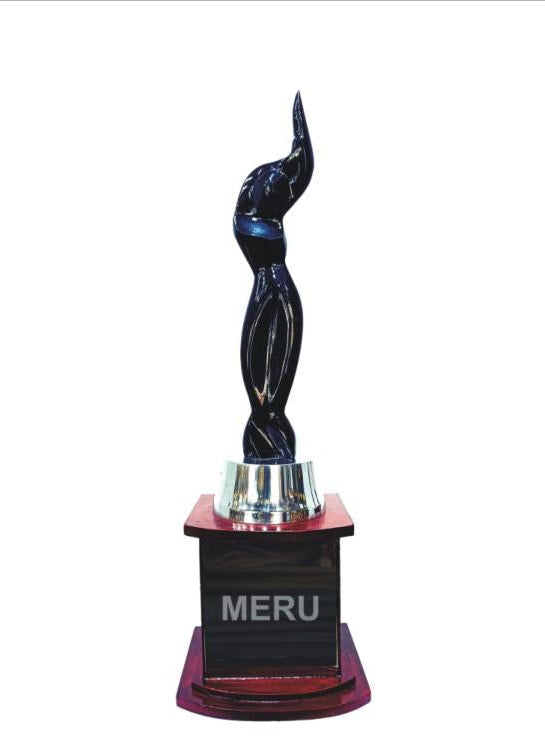 Sleek black acrylic trophy design; ideal for corporate awards and employee recognition.