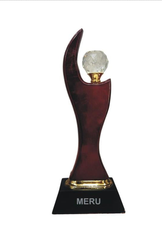 Elegant crystal trophy design; perfect for corporate awards and recognition.