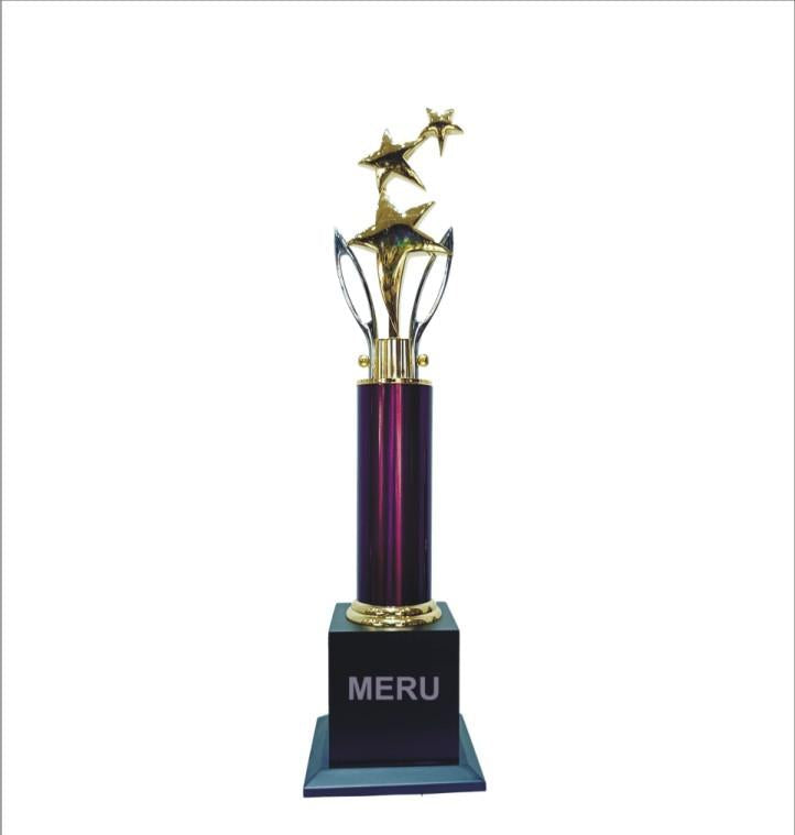 Gold star corporate trophy