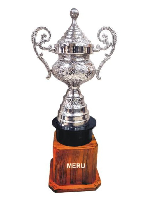 Elegant silver trophy cup award