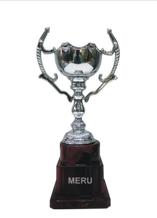 Silver cup trophy; ideal for recognition awards and sporting achievements.