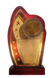 Elegant wooden trophy for recognition awards
