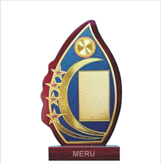 Image of a custom wooden trophy award memento.